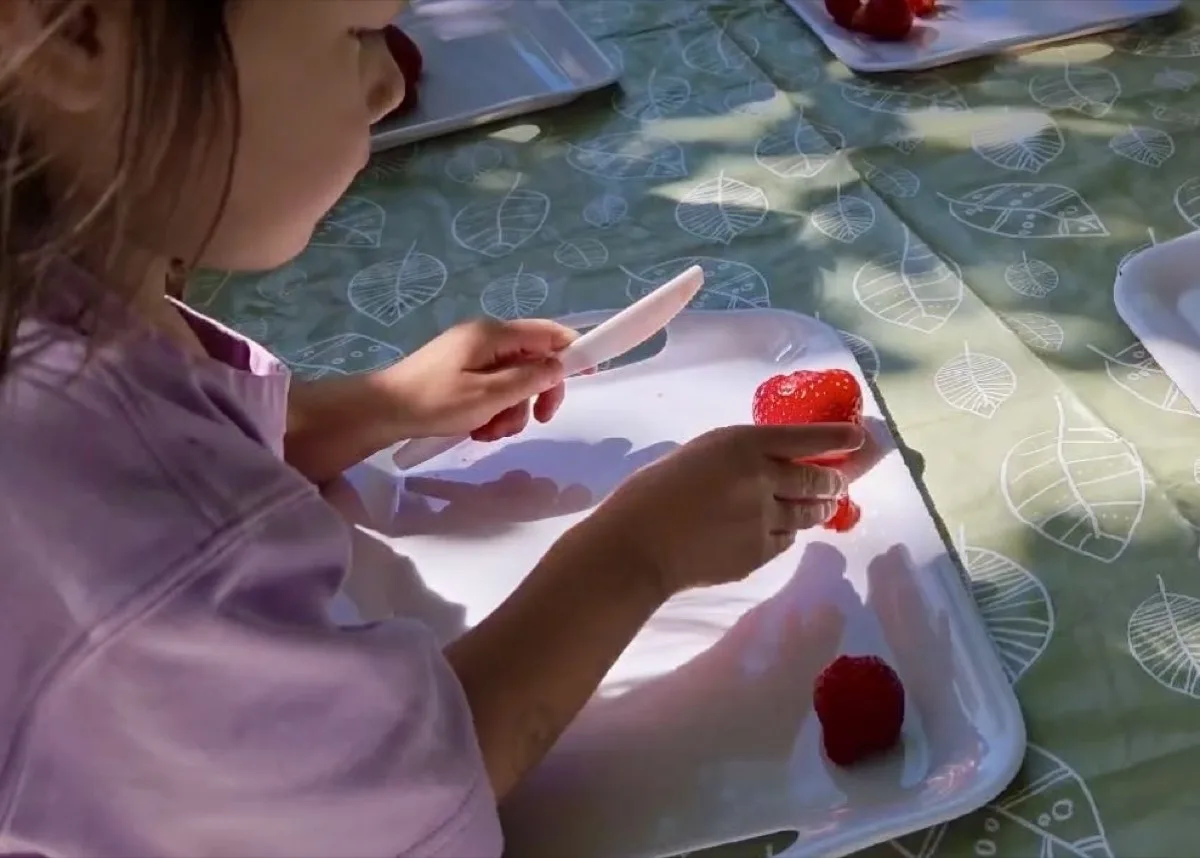Young child practicing cutting strawberries during an outdoor learning activity
